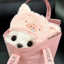 ปราเสริฐ ปราสาททองโอสถ avatar